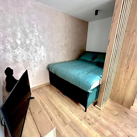 公寓 Luxe Center 布雷兹诺