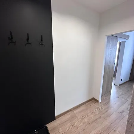 Luxe Center Apartment