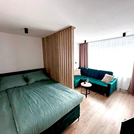 公寓 Luxe Center 布雷兹诺