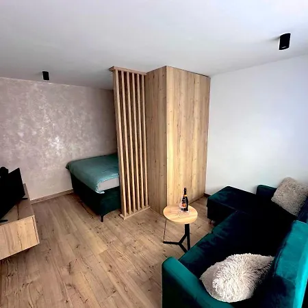 Luxe Center 公寓 布雷兹诺